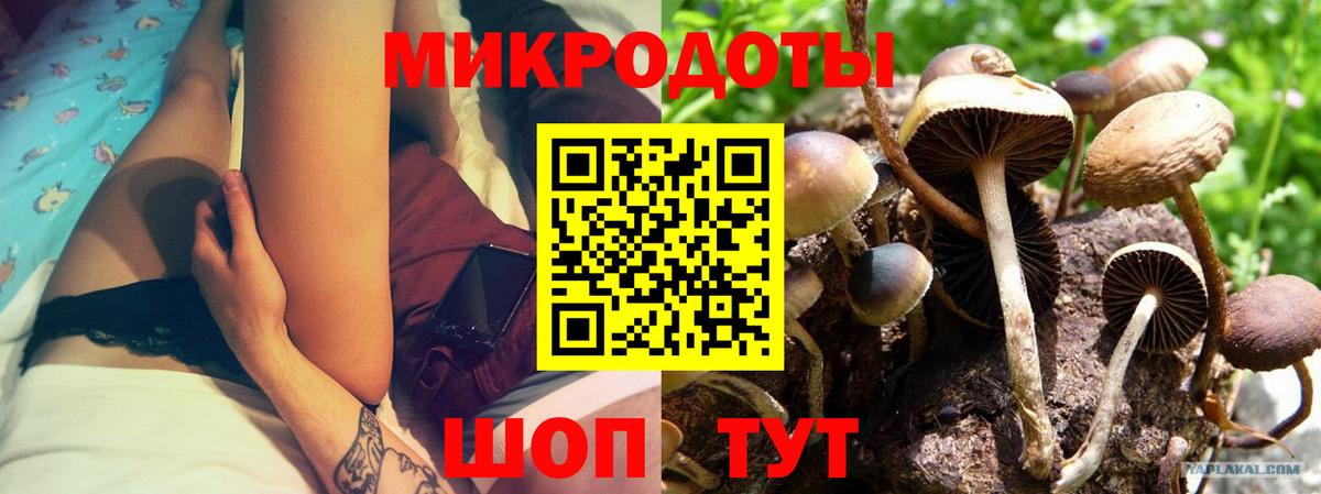 Псилоцибиновые грибы мицелий Сорочинск